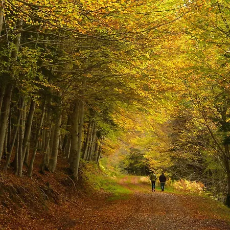 アパート Casa Lavanda By Bevalle *