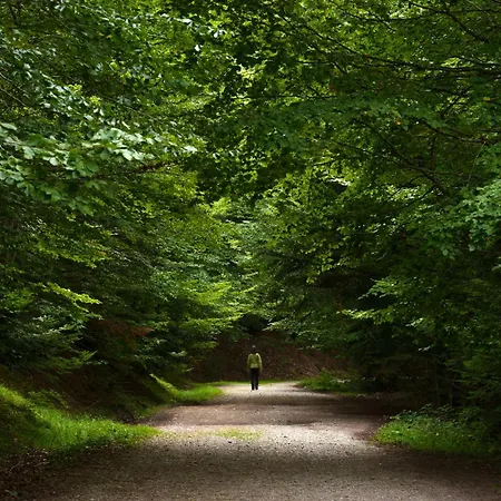 Casa Lavanda By Bevalle パンティコサ