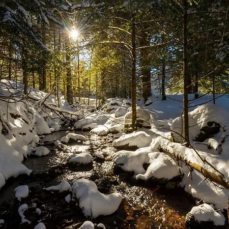 Casa Lavanda By Bevalle アパート *