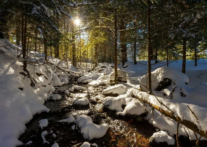 Casa Lavanda By Bevalle アパート *